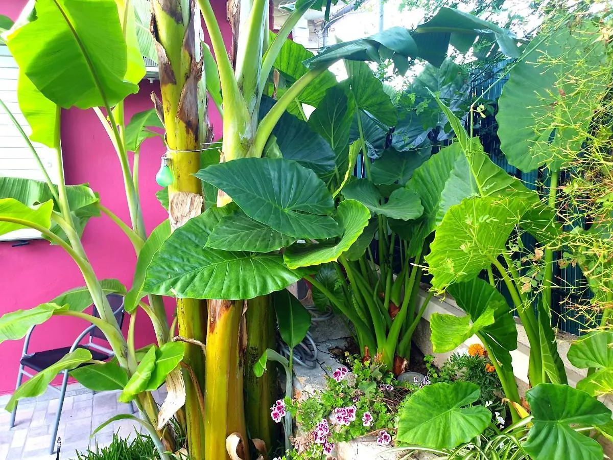 펜션 Aloe House Lakithra 빌라 그리스