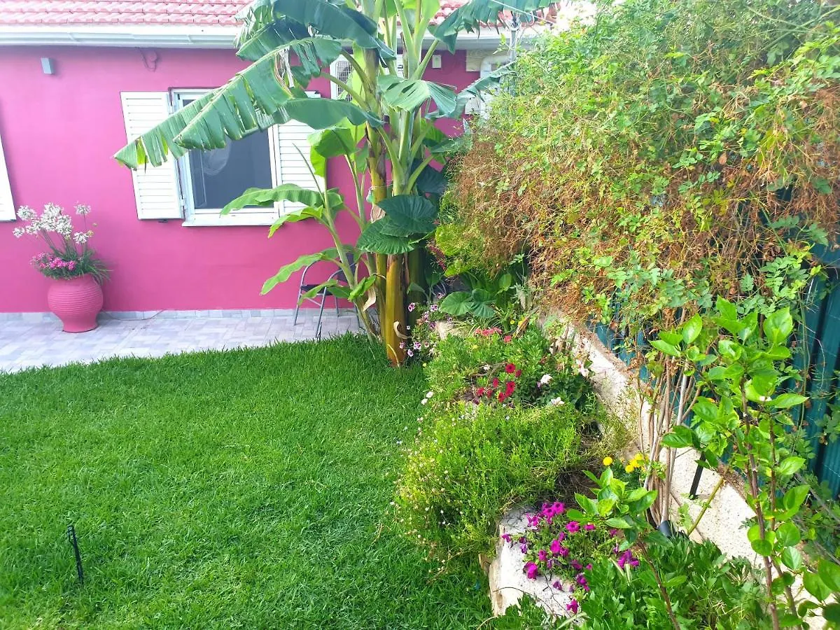 Willa Aloe House Lakíthra Grecja